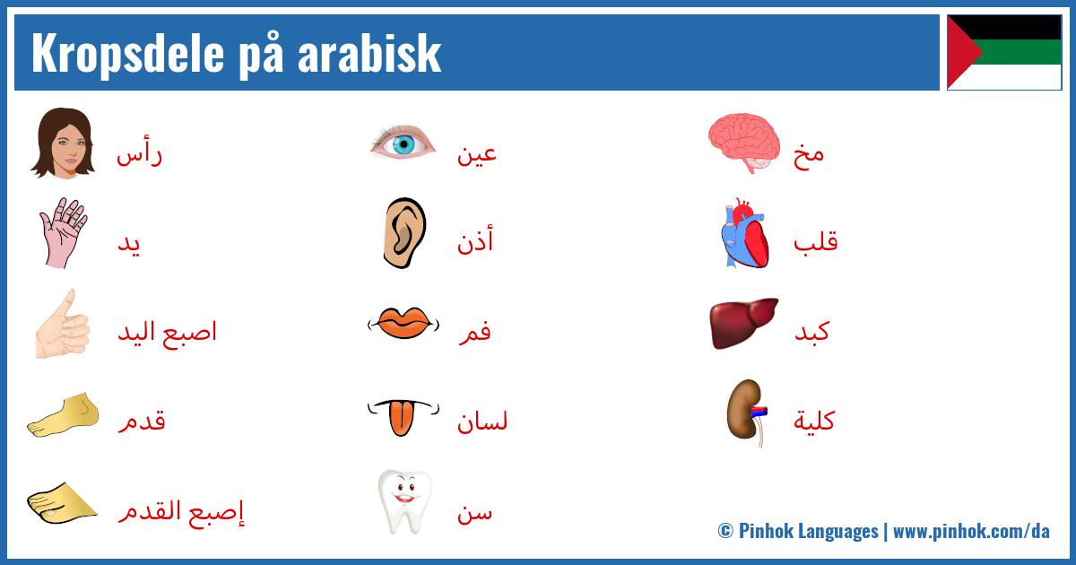 Kropsdele på arabisk
