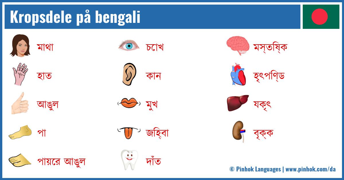 Kropsdele på bengali