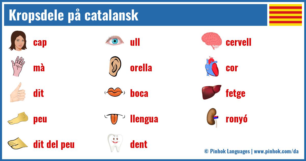 Kropsdele på catalansk