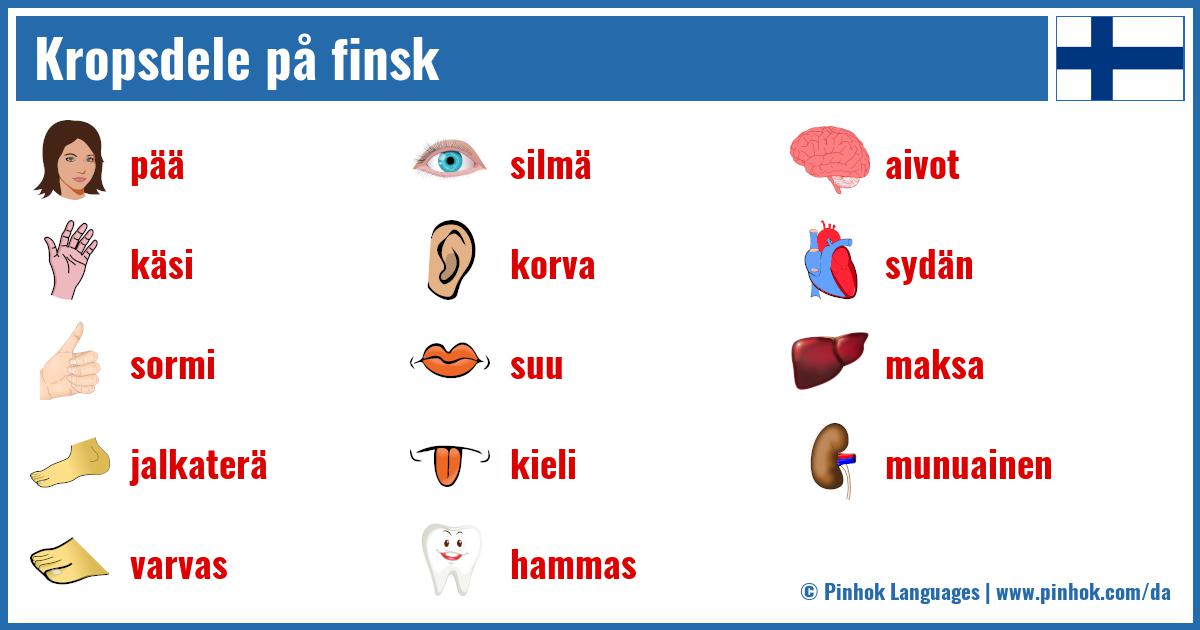 Kropsdele på finsk