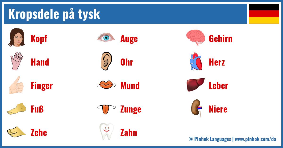 Kropsdele på tysk