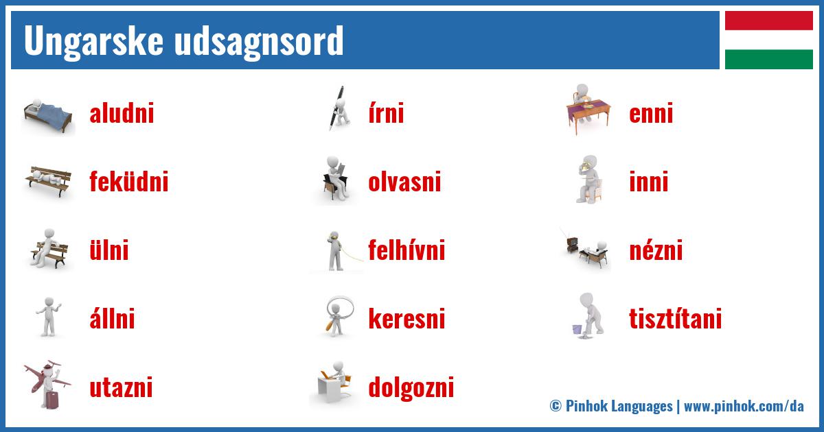 Ungarske udsagnsord