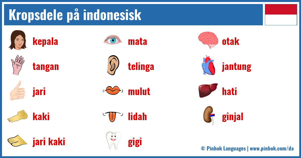Kropsdele på indonesisk