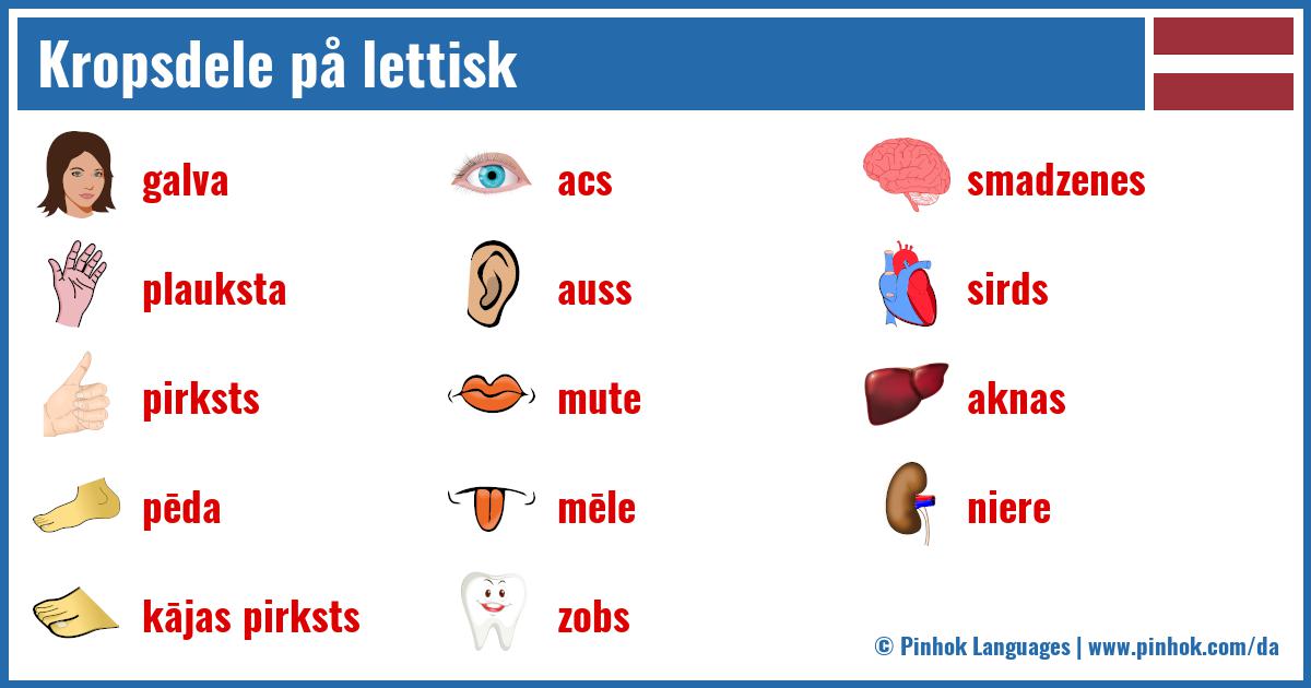 Kropsdele på lettisk