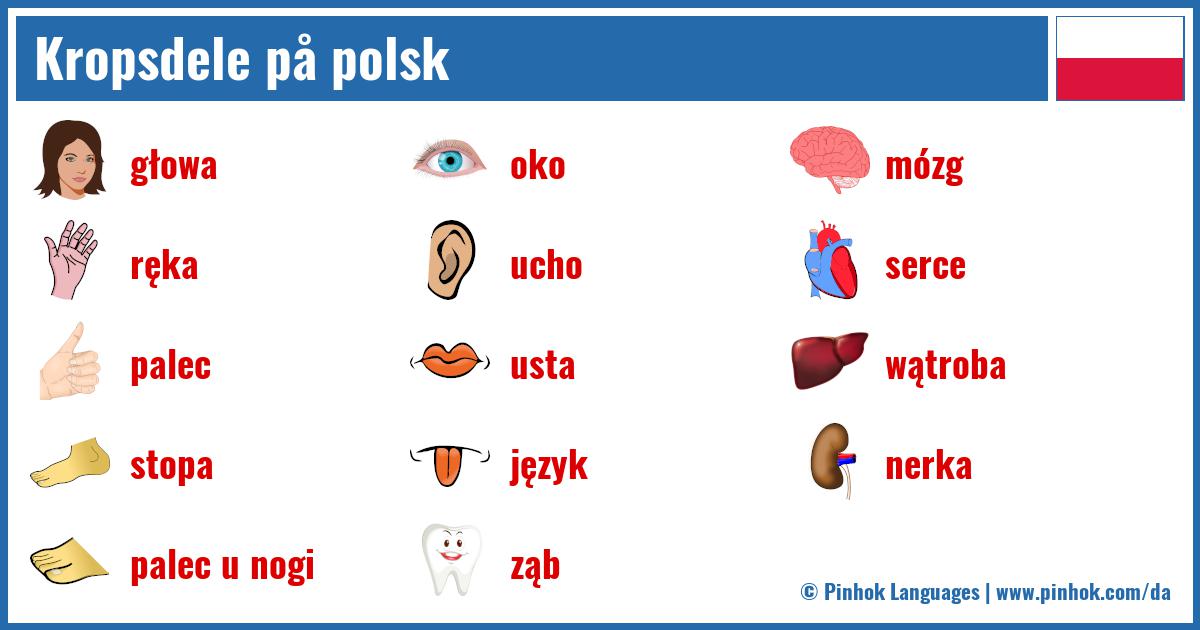 Kropsdele på polsk