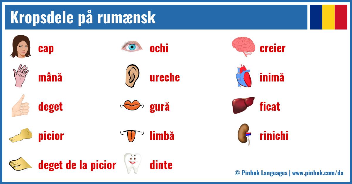 Kropsdele på rumænsk