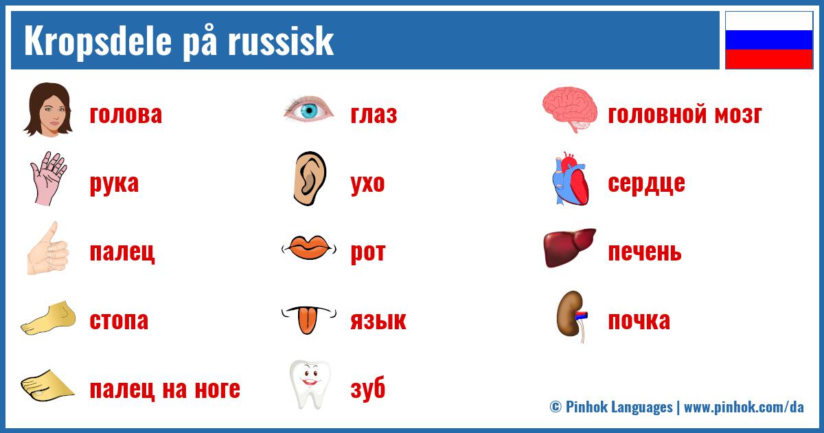 Kropsdele på russisk