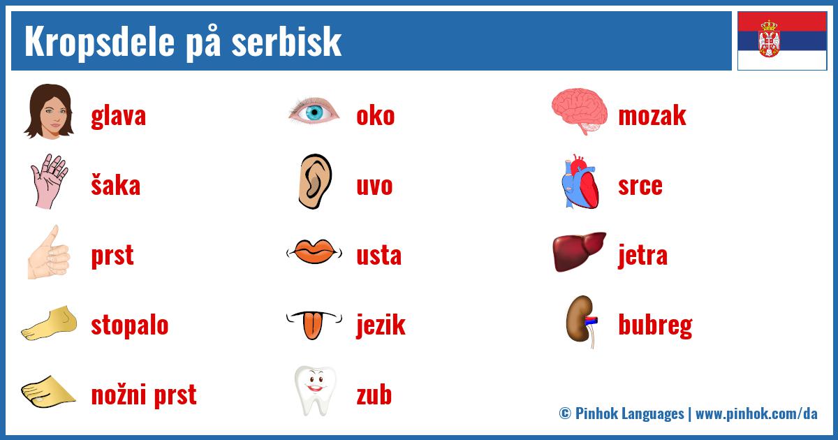 Kropsdele på serbisk