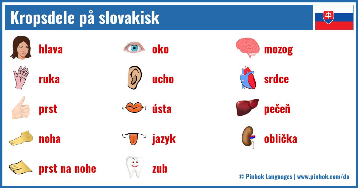 Kropsdele på slovakisk
