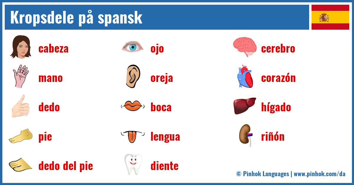 Kropsdele på spansk