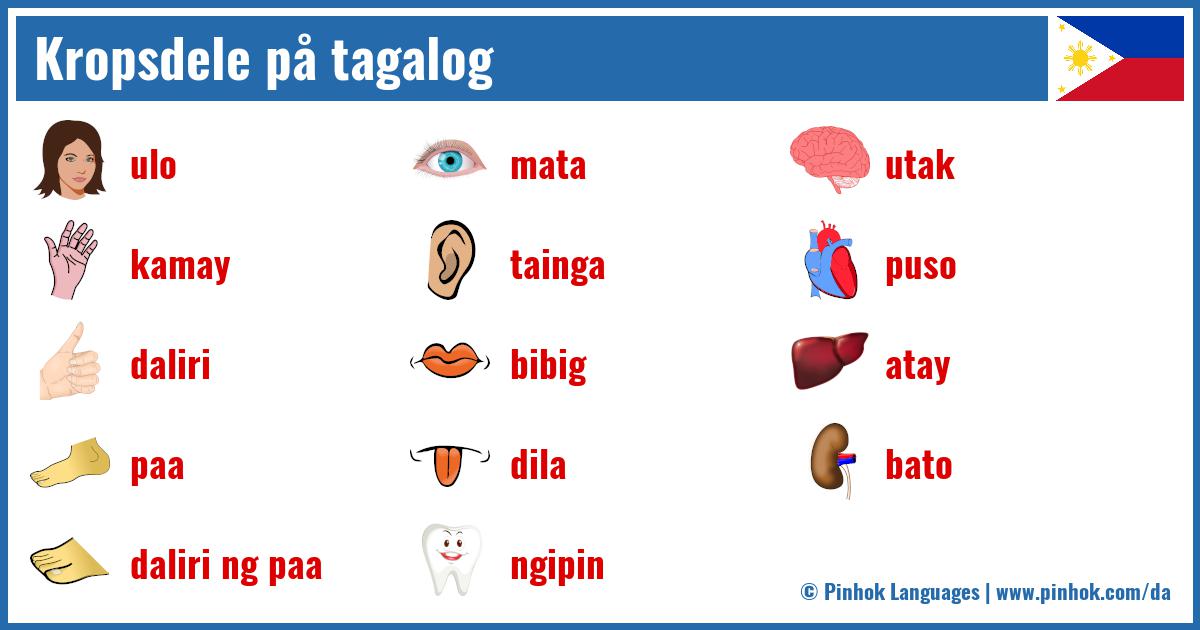 Kropsdele på tagalog