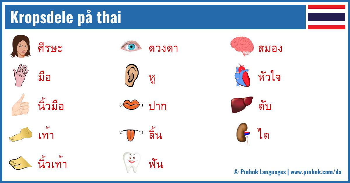 Kropsdele på thai
