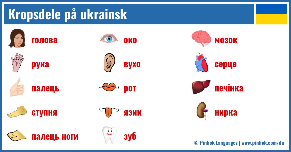 Kropsdele på ukrainsk