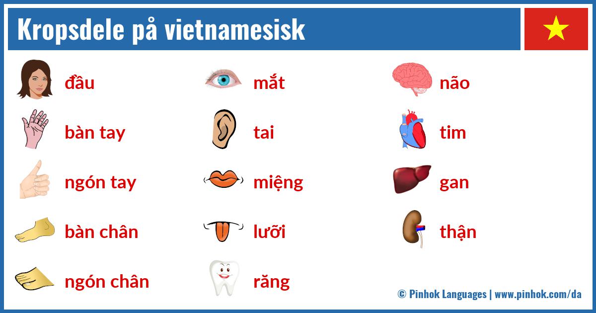 Kropsdele på vietnamesisk