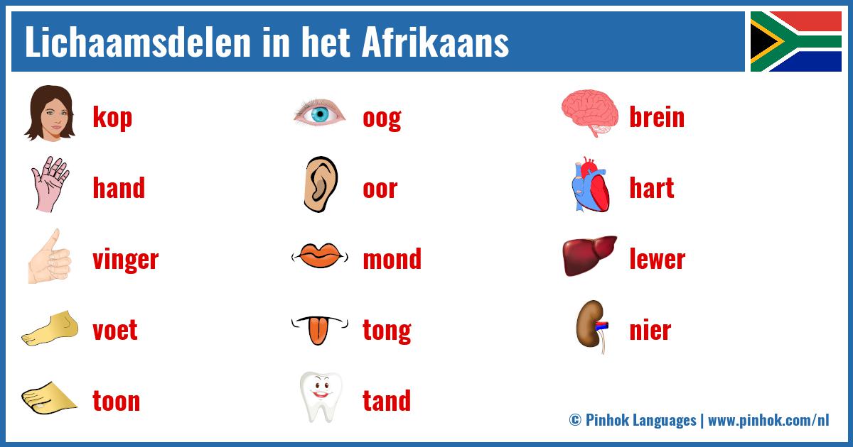 Lichaamsdelen in het Afrikaans