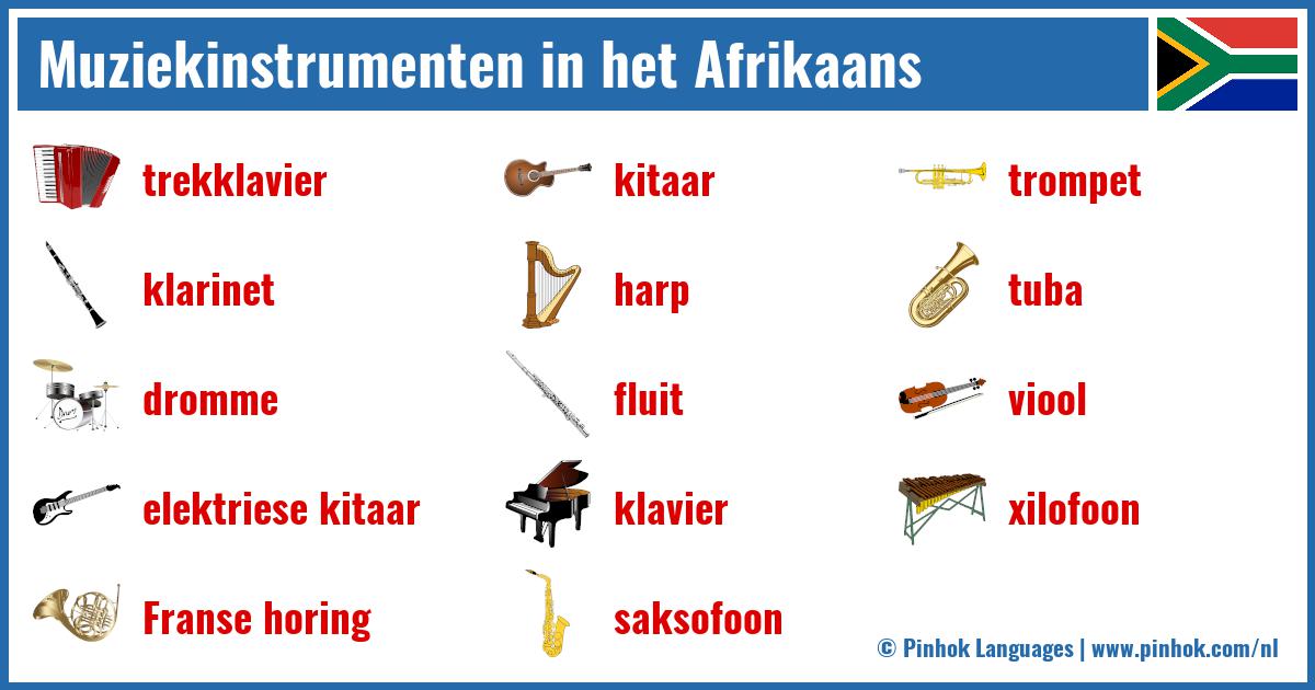 Muziekinstrumenten in het Afrikaans