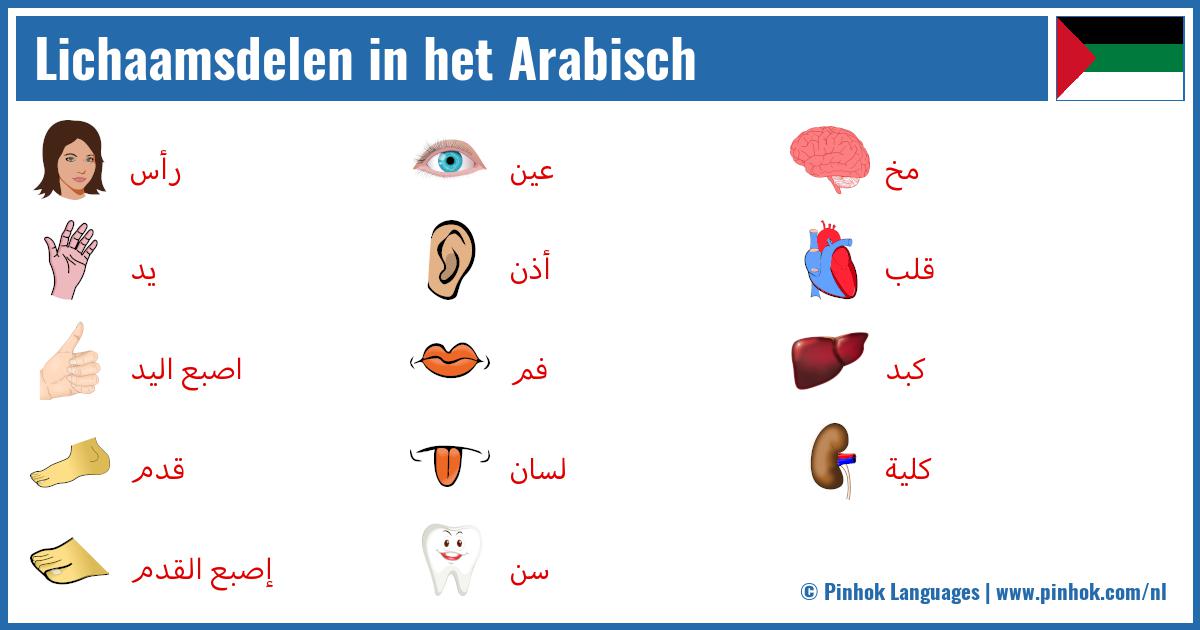 Lichaamsdelen in het Arabisch