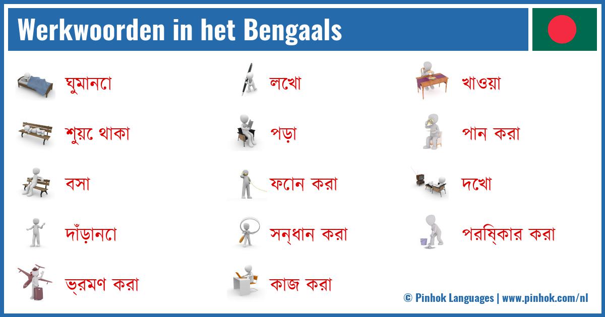 Werkwoorden in het Bengaals