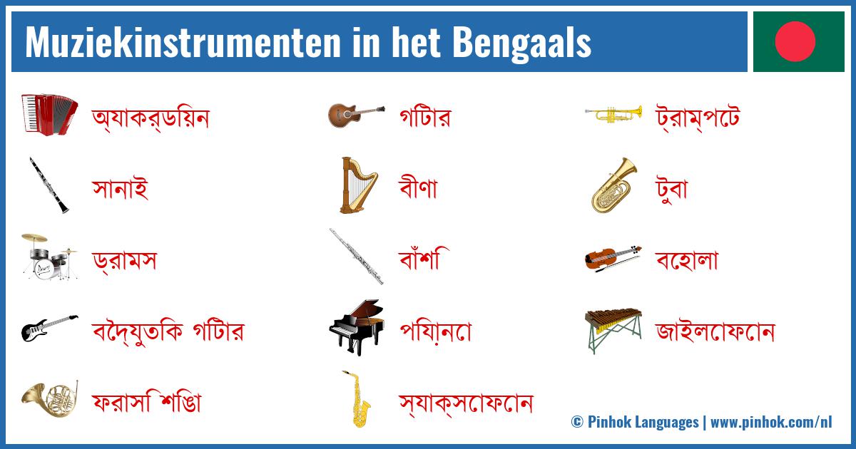 Muziekinstrumenten in het Bengaals