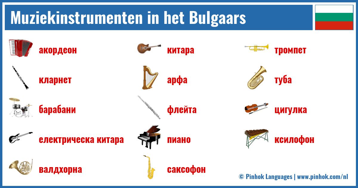 Muziekinstrumenten in het Bulgaars