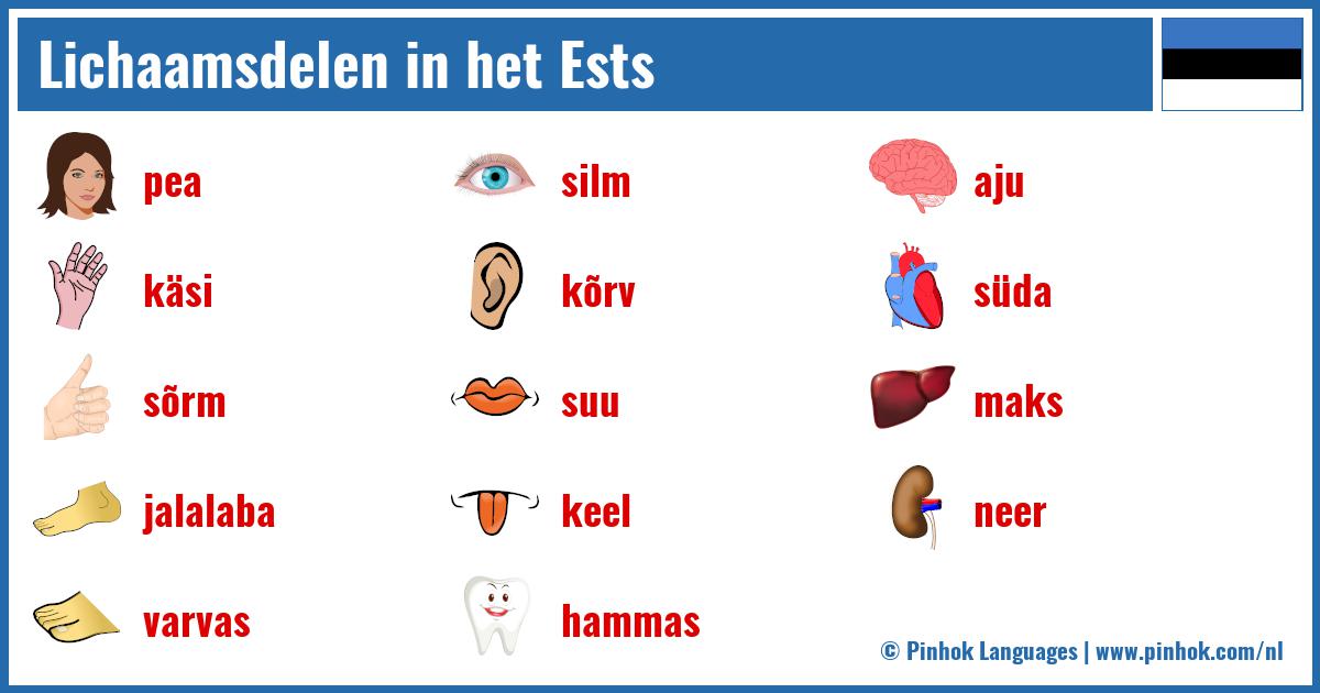 Lichaamsdelen in het Ests