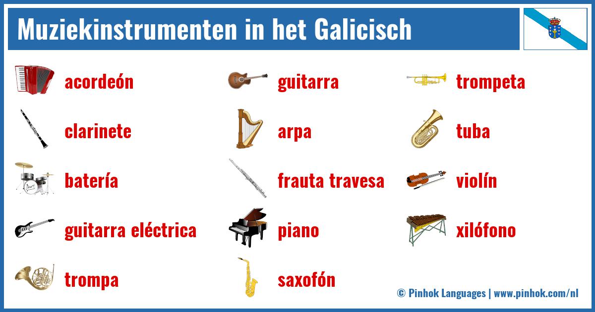 Muziekinstrumenten in het Galicisch