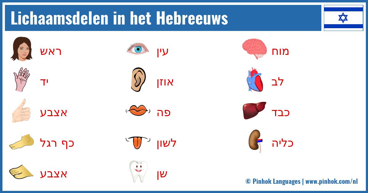 Lichaamsdelen in het Hebreeuws