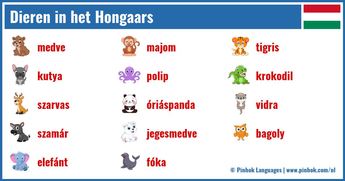 Dieren in het Hongaars