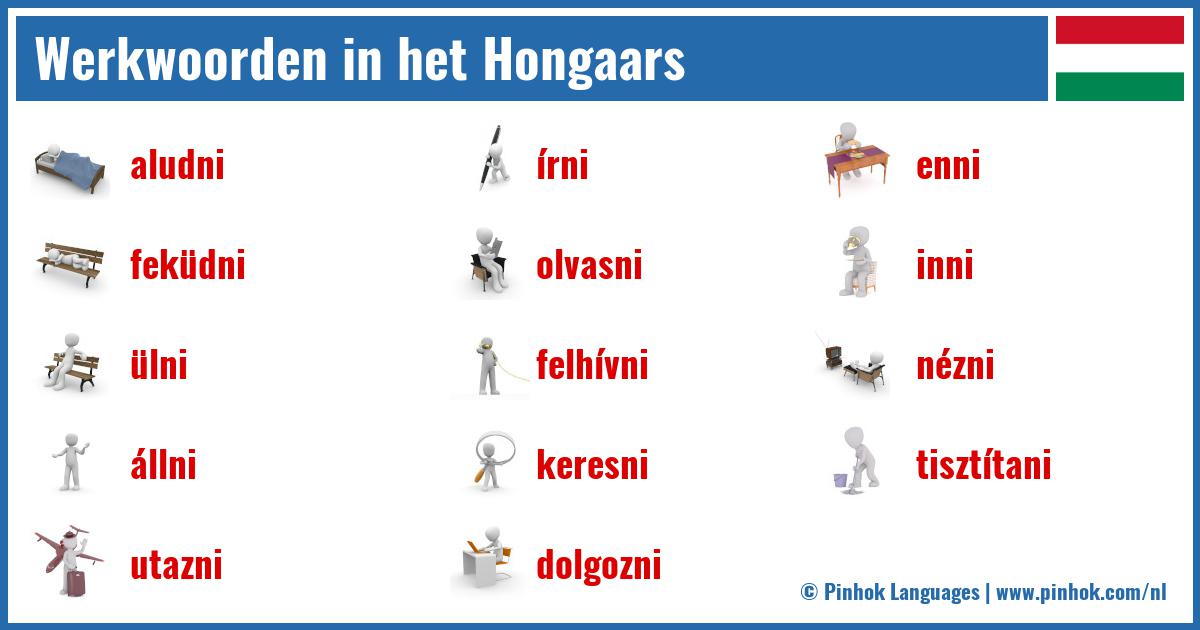 Werkwoorden in het Hongaars
