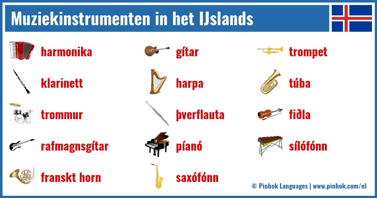 Muziekinstrumenten in het IJslands