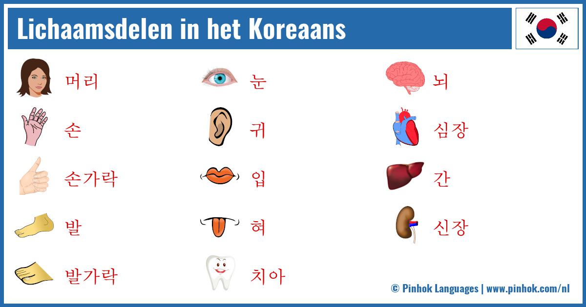 Lichaamsdelen in het Koreaans