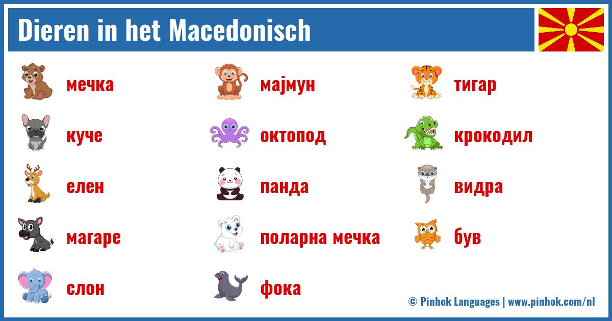 Dieren in het Macedonisch