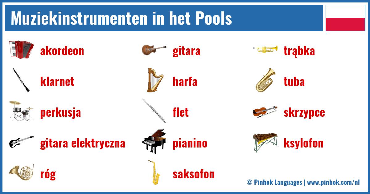 Muziekinstrumenten in het Pools