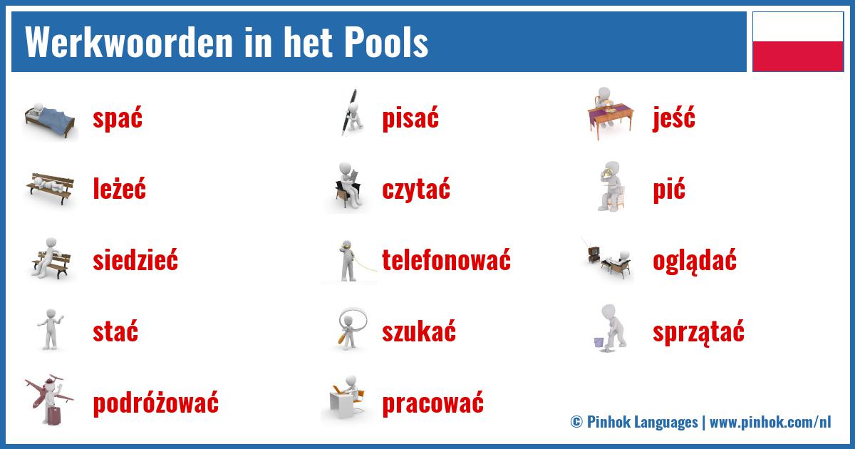 Werkwoorden in het Pools