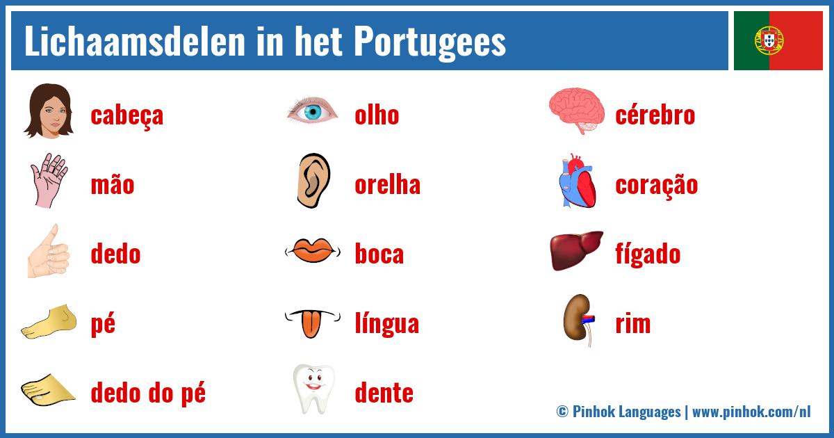 Lichaamsdelen in het Portugees