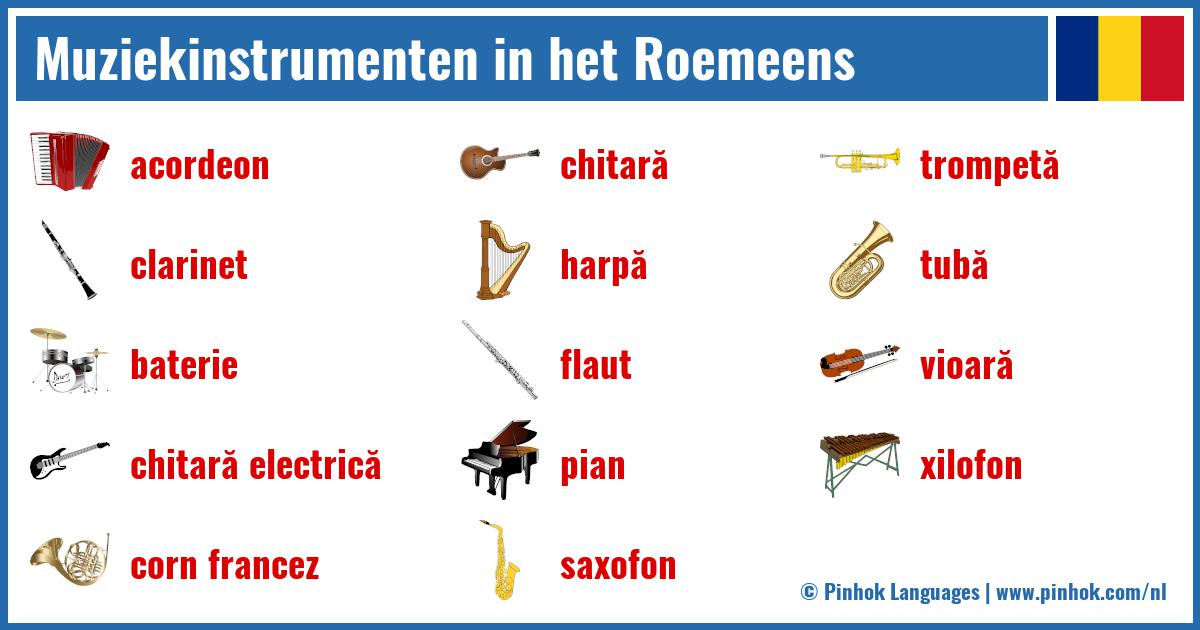 Muziekinstrumenten in het Roemeens