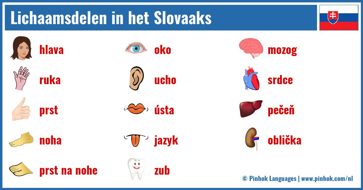 Lichaamsdelen in het Slovaaks