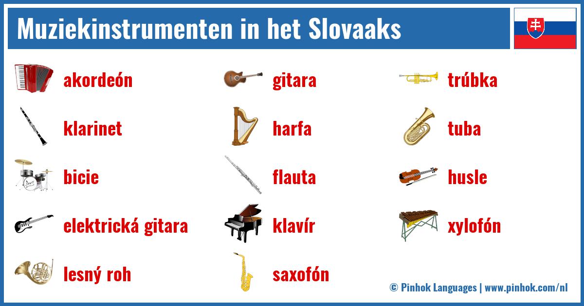 Muziekinstrumenten in het Slovaaks