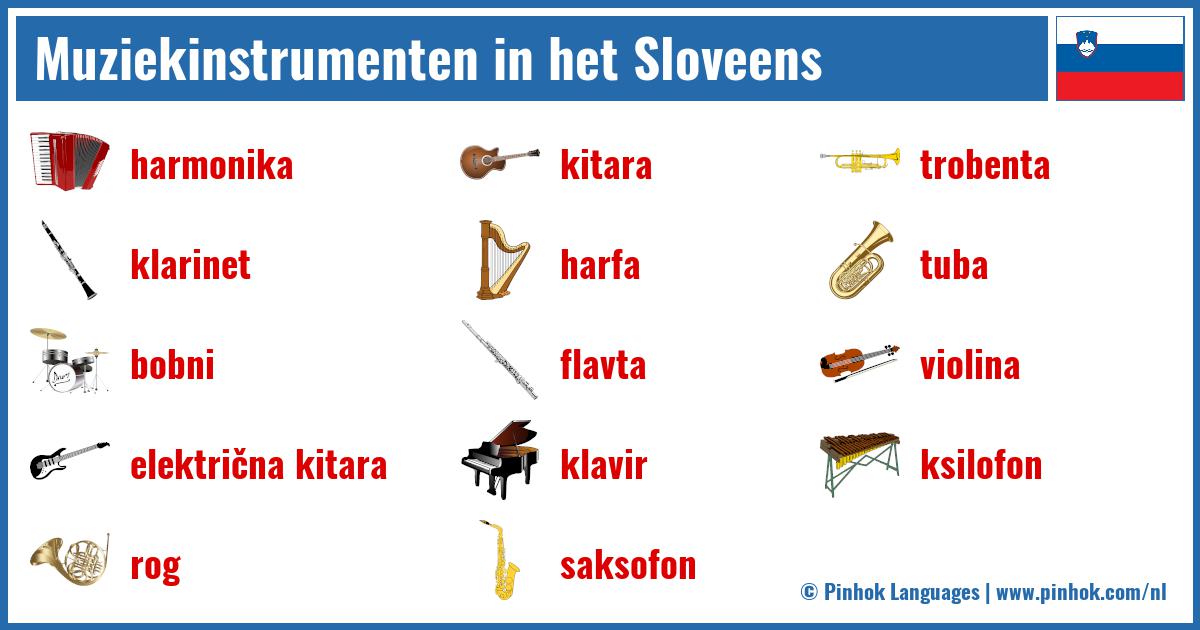 Muziekinstrumenten in het Sloveens