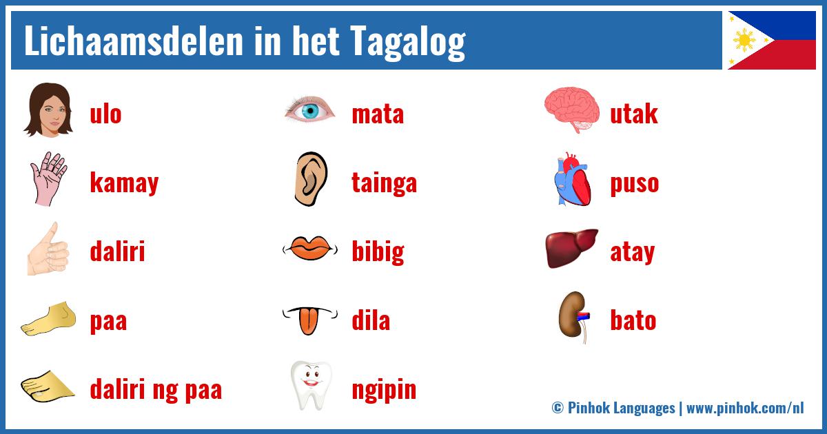 Lichaamsdelen in het Tagalog