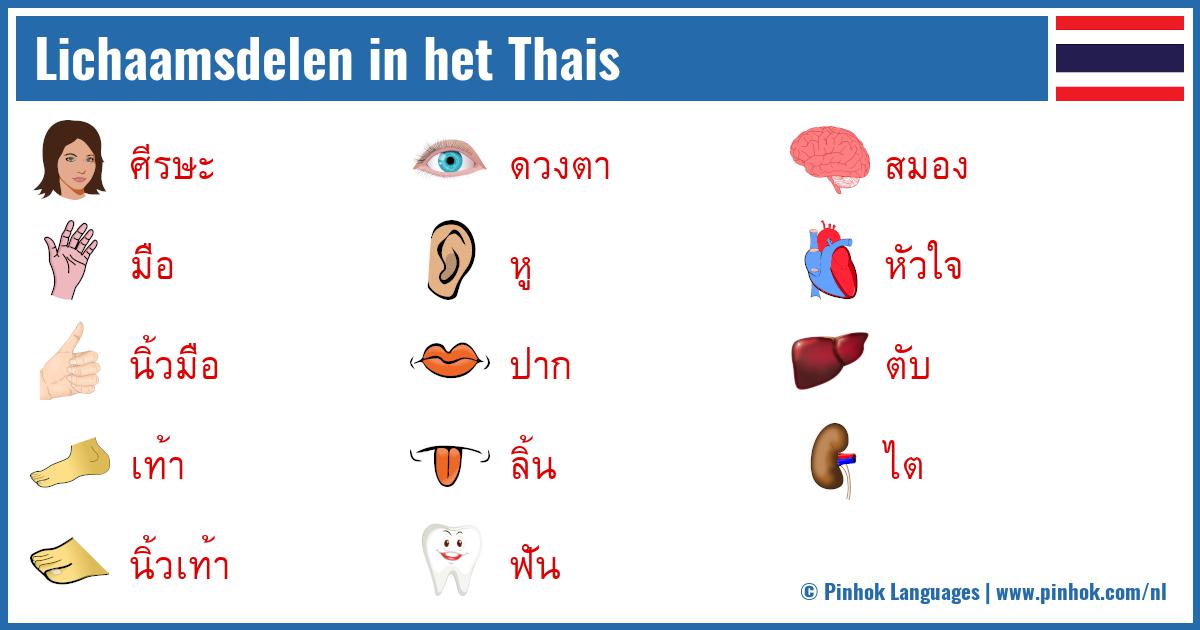 Lichaamsdelen in het Thais