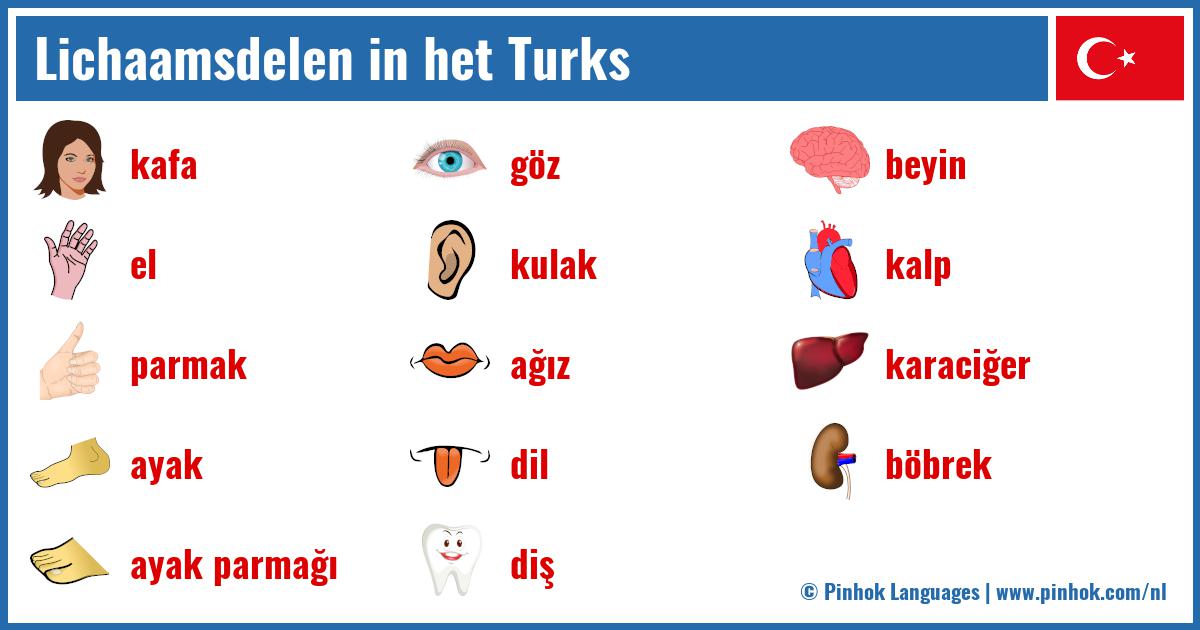 Lichaamsdelen in het Turks