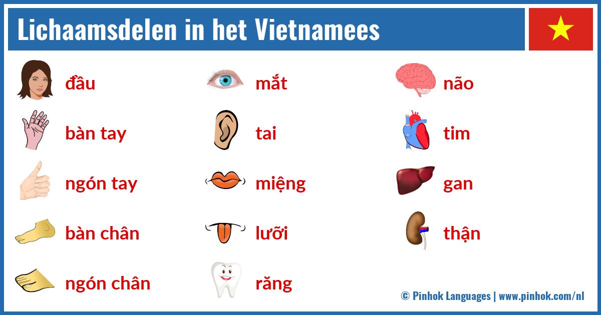 Lichaamsdelen in het Vietnamees