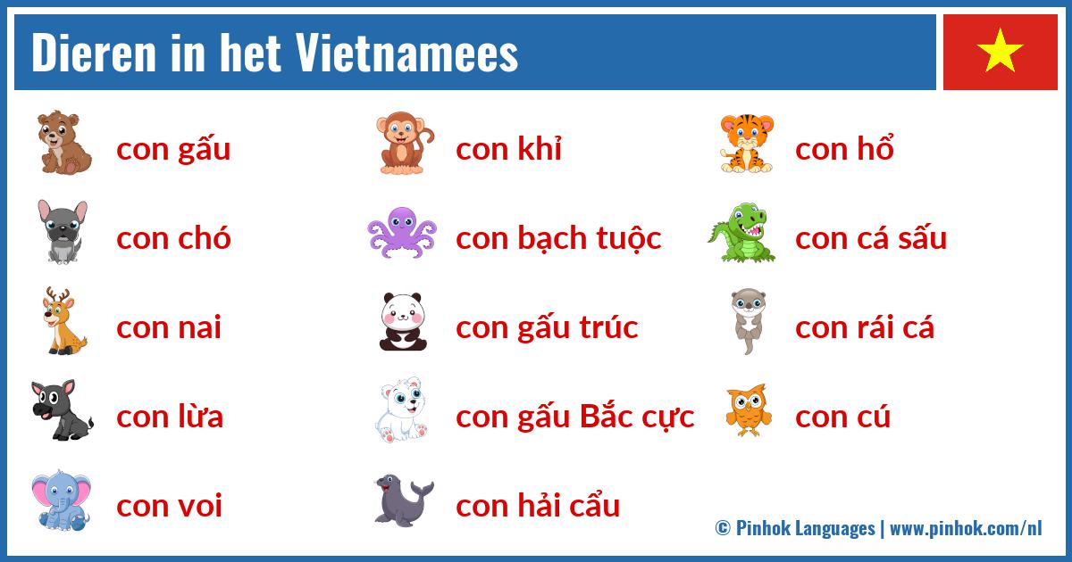 Dieren in het Vietnamees