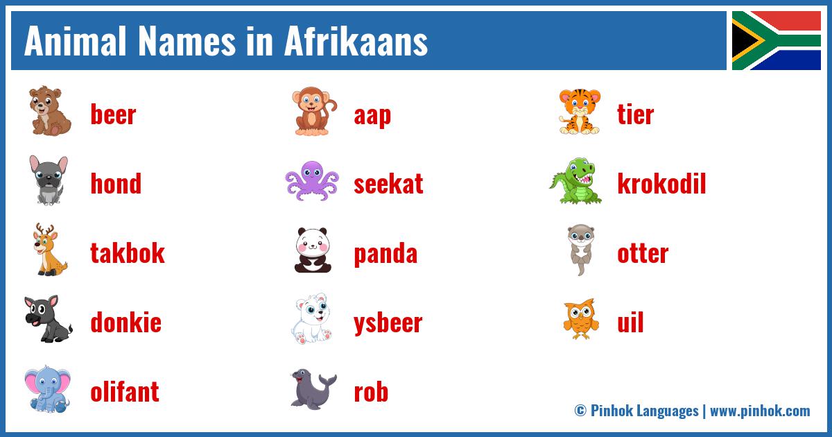 Animal Names in Afrikaans