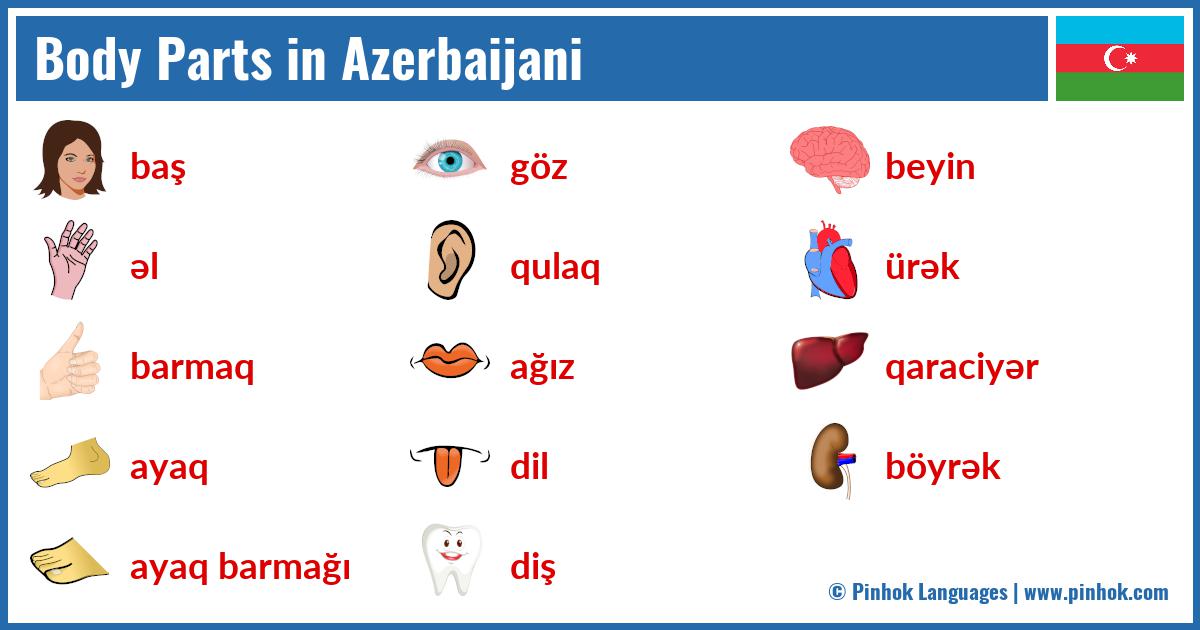 Body Parts in Azerbaijani