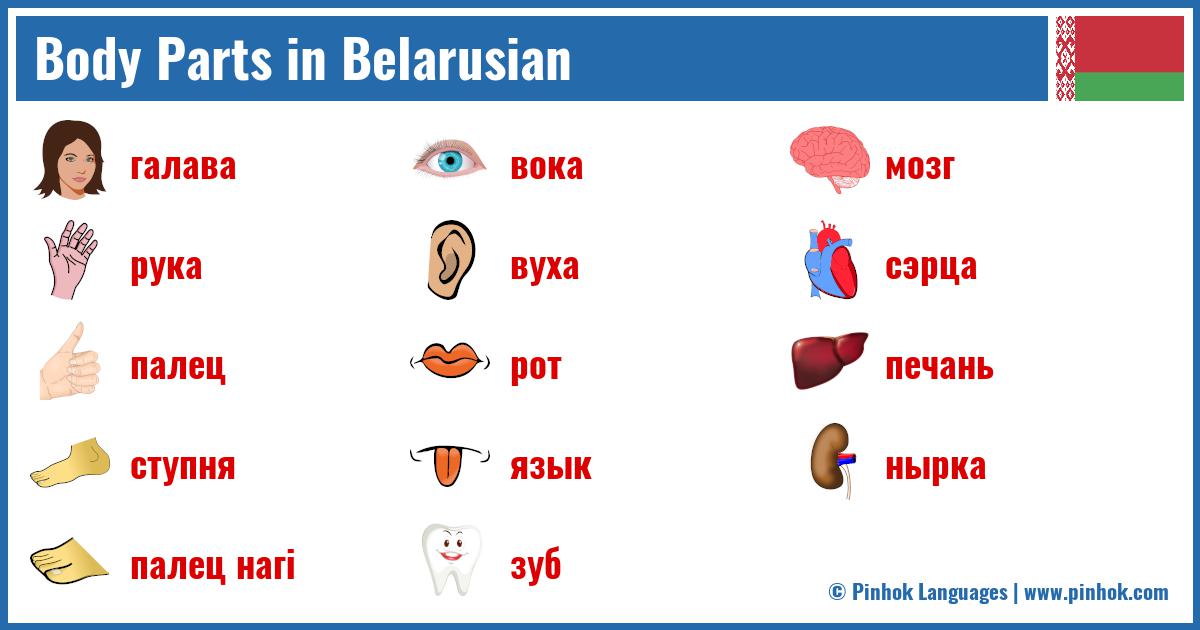 Body Parts in Belarusian
