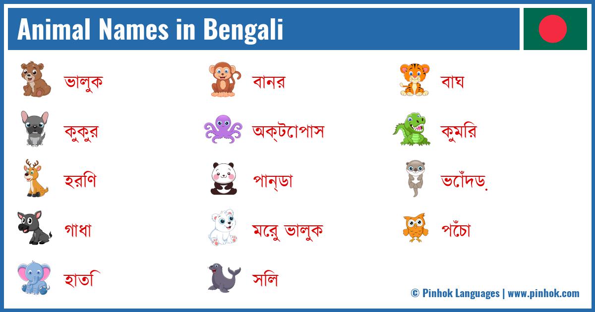 Animal Names in Bengali