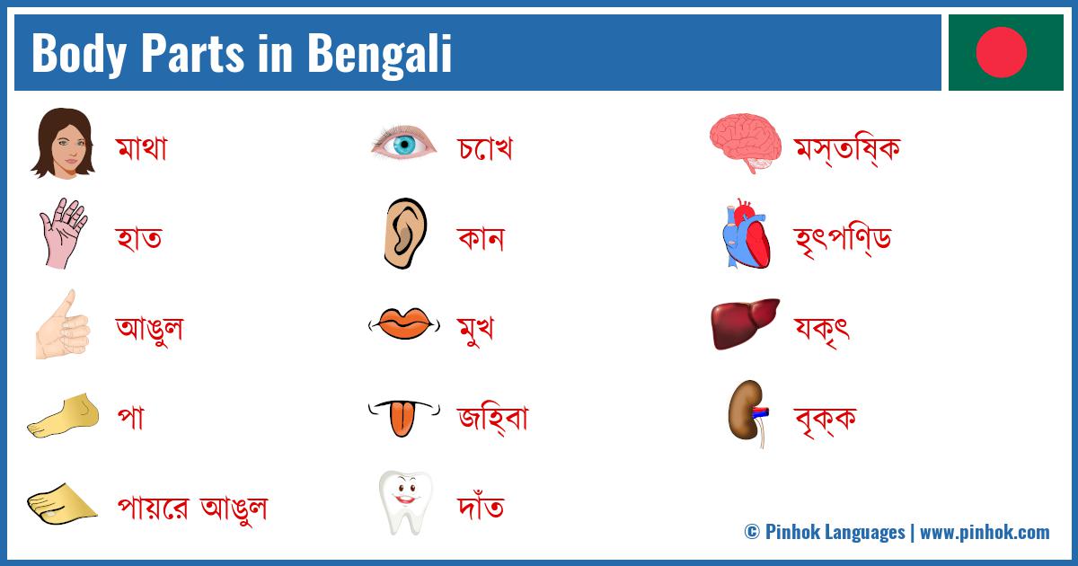 Body Parts in Bengali