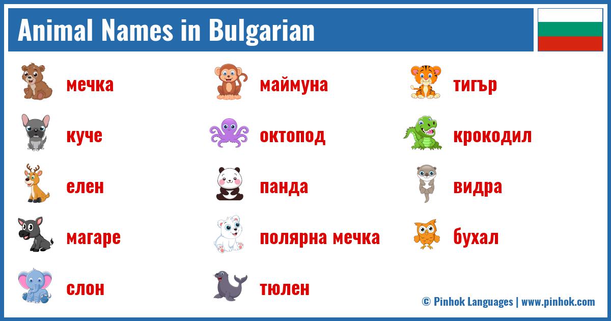 Animal Names in Bulgarian